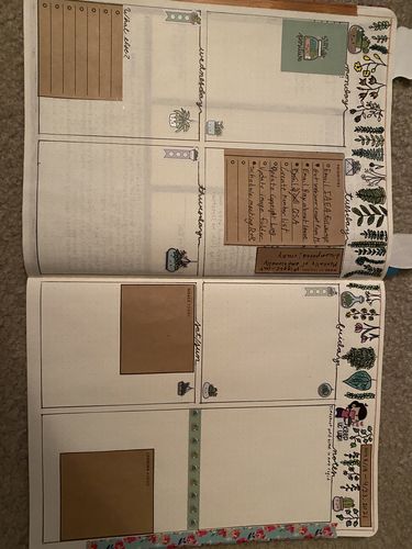 Customer photo review of Weekly Kit - Plants!