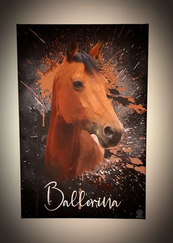 Customer photo review of Graffiti Pawtrait