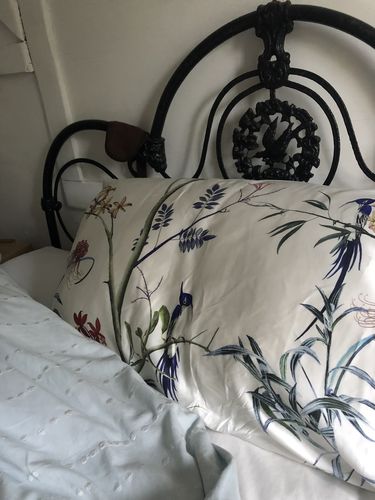 Customer photo review of Hummingbird Pure Silk Pillowcase