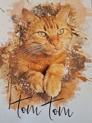 Customer photo review of Graffiti Pawtrait