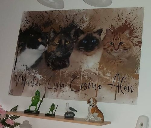 Customer photo review of Graffiti Pawtrait