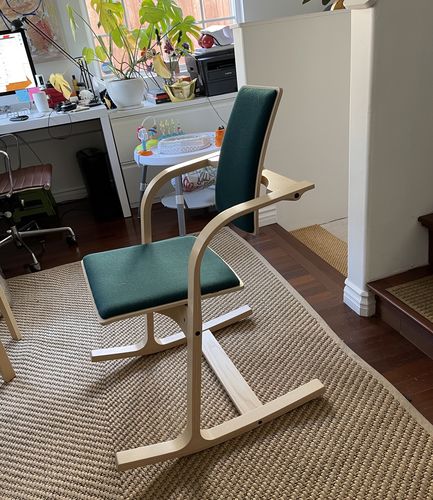 Customer photo review of Actulum Balans