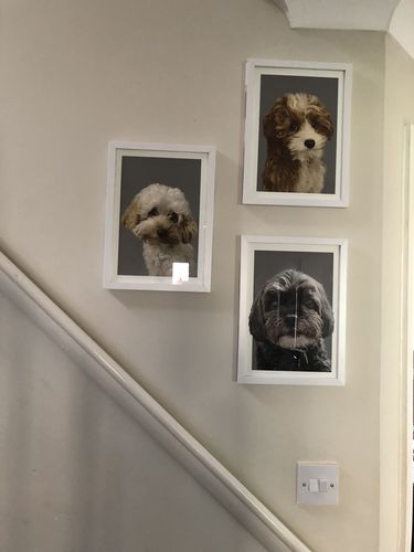 Customer photo review of Digital Artwork Download
