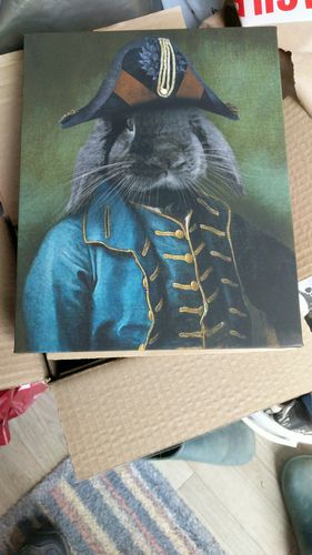 Customer photo review of The Admiral – Custom Vintage Pet Canvas