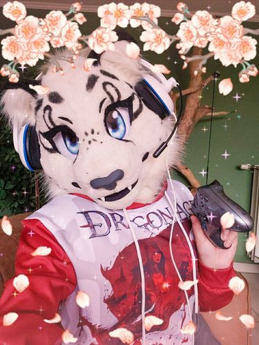 Customer photo review of Dragon Age 3D Hoodie