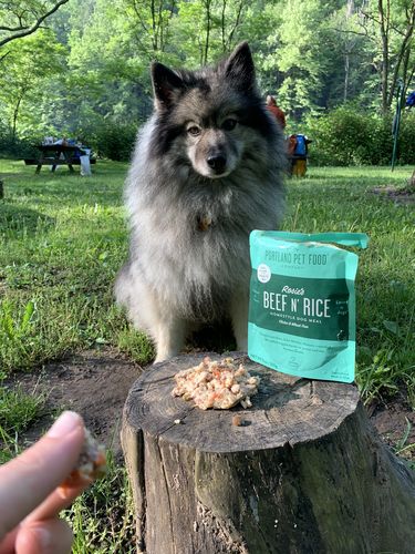Customer photo review of Rosie's Beef N' Rice Meal Pouch