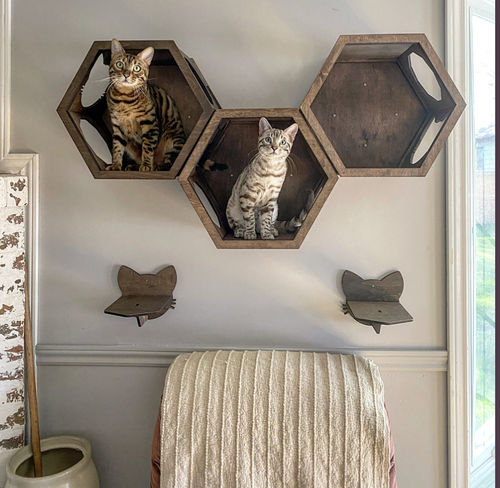 Customer photo review of Cat Furniture Shelf Dark Walnut