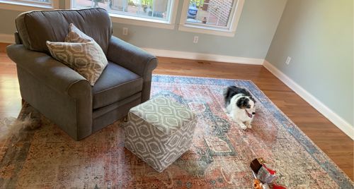 Customer photo review of Distressed Vintage Cezanne Terracotta Sky Area Rug