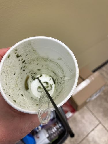 Customer photo review of Rewind Greens 30-Day Supply