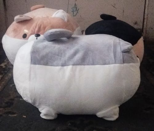Customer photo review of Chonky Angery Boi The Angry Shiba Pillow