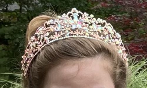 Customer photo review of Stella Opalina Tiara