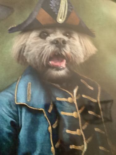 Customer photo review of The Admiral - Custom Vintage Pet Portrait