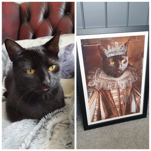 Customer photo review of The Queen - Custom Vintage Pet Portrait
