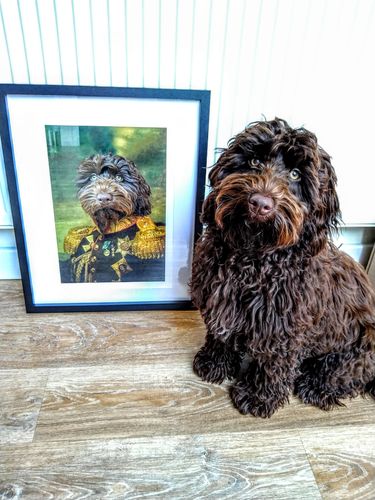 Customer photo review of The General - Custom Vintage Pet Portrait