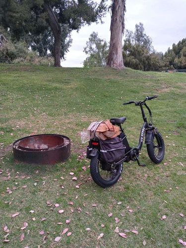 Customer photo review of VTUVIA SF20 Step Through 20 Inch Folding Fat Tire Electric Bike, 750W Motor, 48V 13AH Removable Battery-Pick Up $100 OFF