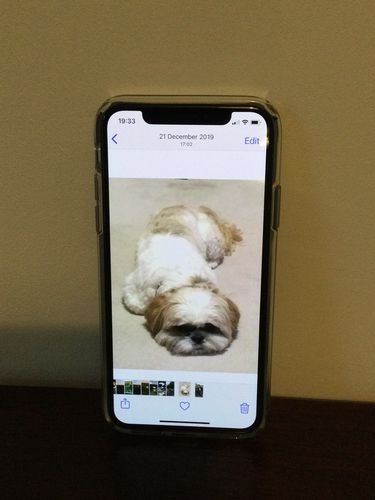 Customer photo review of Apple iPhone XS 64GB Space Grey Unlocked Refurbished Excellent