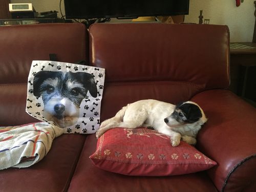 Customer photo review of Tote Bag Personnalisé Chien