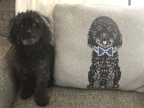 Customer photo review of Back Side