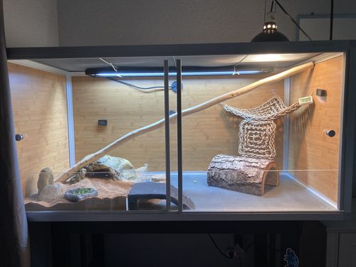 Customer photo review of 4'x2'x2' PVC Panel Bearded Dragon Enclosure by Zen Habitats