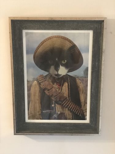 Customer photo review of The Outlaw - Custom Vintage Pet Portrait