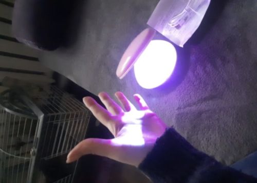 Customer photo review of Vespani Rainbow Projector