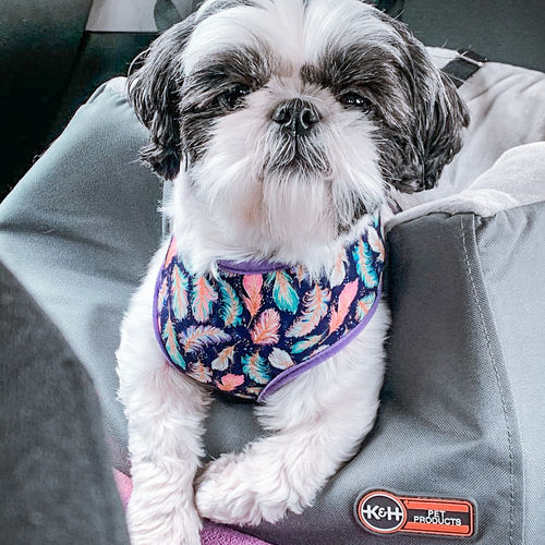 Customer photo review of Boho feather dog harness - purple trim