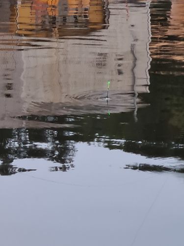 Customer photo review of 10g Smart Fishing Float