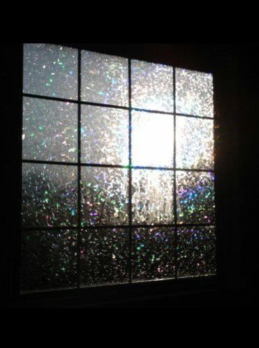 Customer photo review of Vespani Holographic Window Film