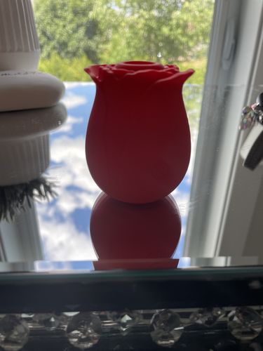 Customer photo review of Rose Toy For Women ™