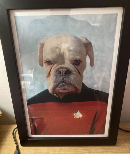Customer photo review of Star Trek Command Officer - Custom Pet Portrait