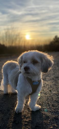 Customer photo review of Gold Dipped Lineart Love Halskette