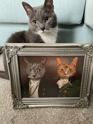 Customer photo review of The Baron & The Count – Custom Vintage Pet Portrait