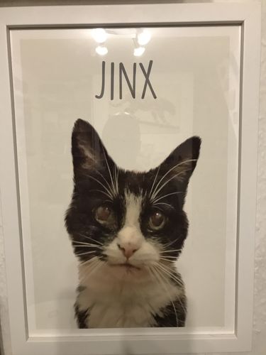 Customer photo review of Classic - Custom Pet Portrait