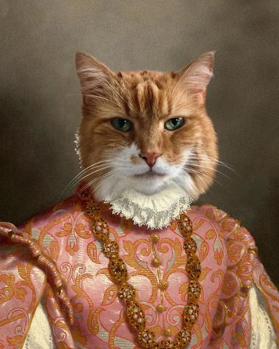 Customer photo review of The Duchess – Custom Vintage Pet Canvas