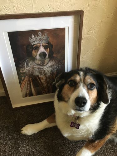Customer photo review of The Queen - Custom Vintage Pet Portrait