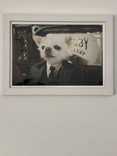 Customer photo review of The Publican - Custom Pet Portrait