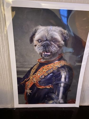 Customer photo review of The Colonel - Custom Vintage Pet Portrait