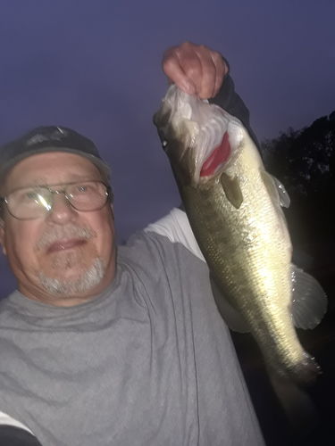 Customer photo review of Headbanger Spitfire 4.5"