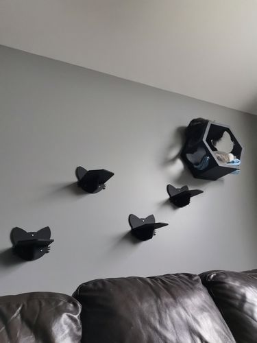 Customer photo review of Wall Cat Wooden Steps