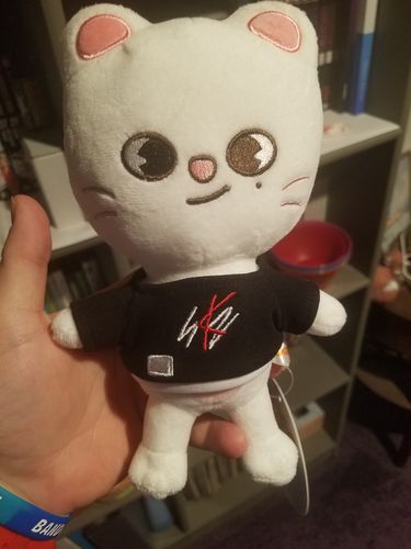 Customer photo review of Official Stray Kids SKZOO Plush (Original Ver)