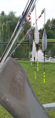 Customer photo review of 10g Smart Fishing Float