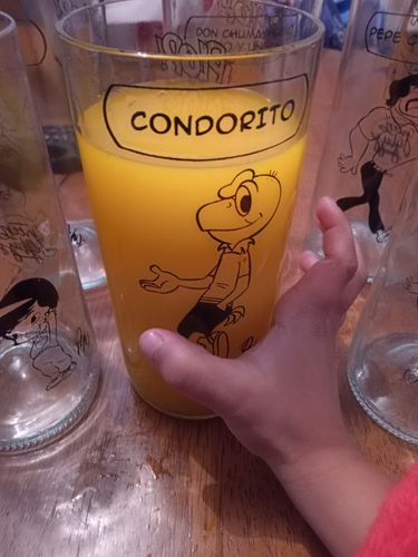 Customer photo review of Flora & Fauna Juego de 4 Vasos