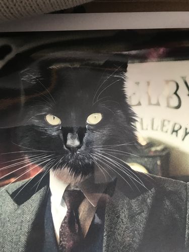 Customer photo review of The Publican - Custom Pet Portrait