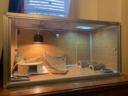 Customer photo review of 4'x2'x2' Wood Panel Bearded Dragon Enclosure by Zen Habitats