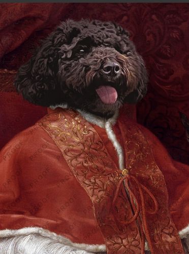 Customer photo review of The Pope – Custom Vintage Pet Canvas