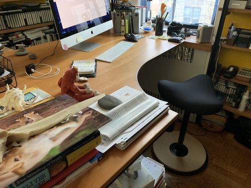 Customer photo review of Move Ergonomic Stool