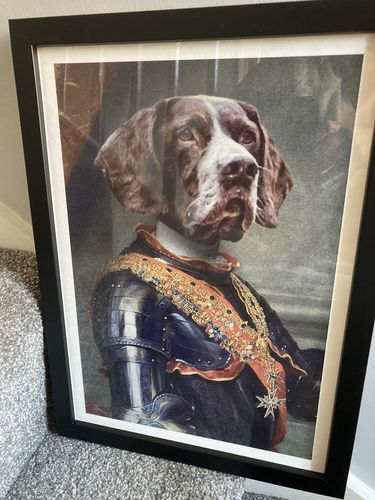 Customer photo review of The Colonel - Custom Vintage Pet Portrait