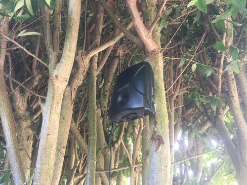 Customer photo review of Dog Silencer® MAX