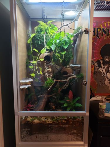 Customer photo review of 2'x2'x4' PVC Panel Reptile Enclosure by Zen Habitats