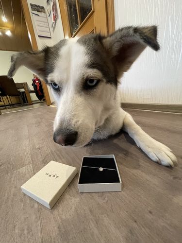 Customer photo review of Silber Lineart Love Armkette